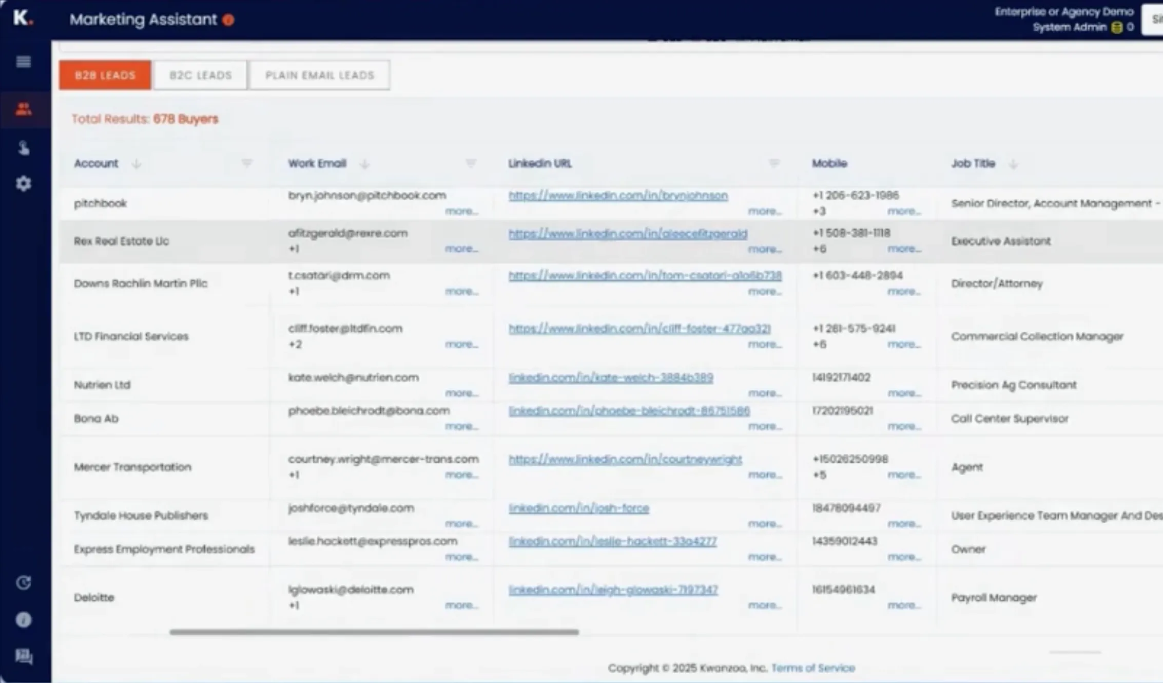 Website Visitor Identification