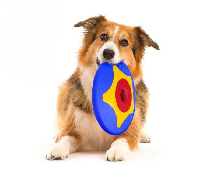 Natural ingredients for pet supplements