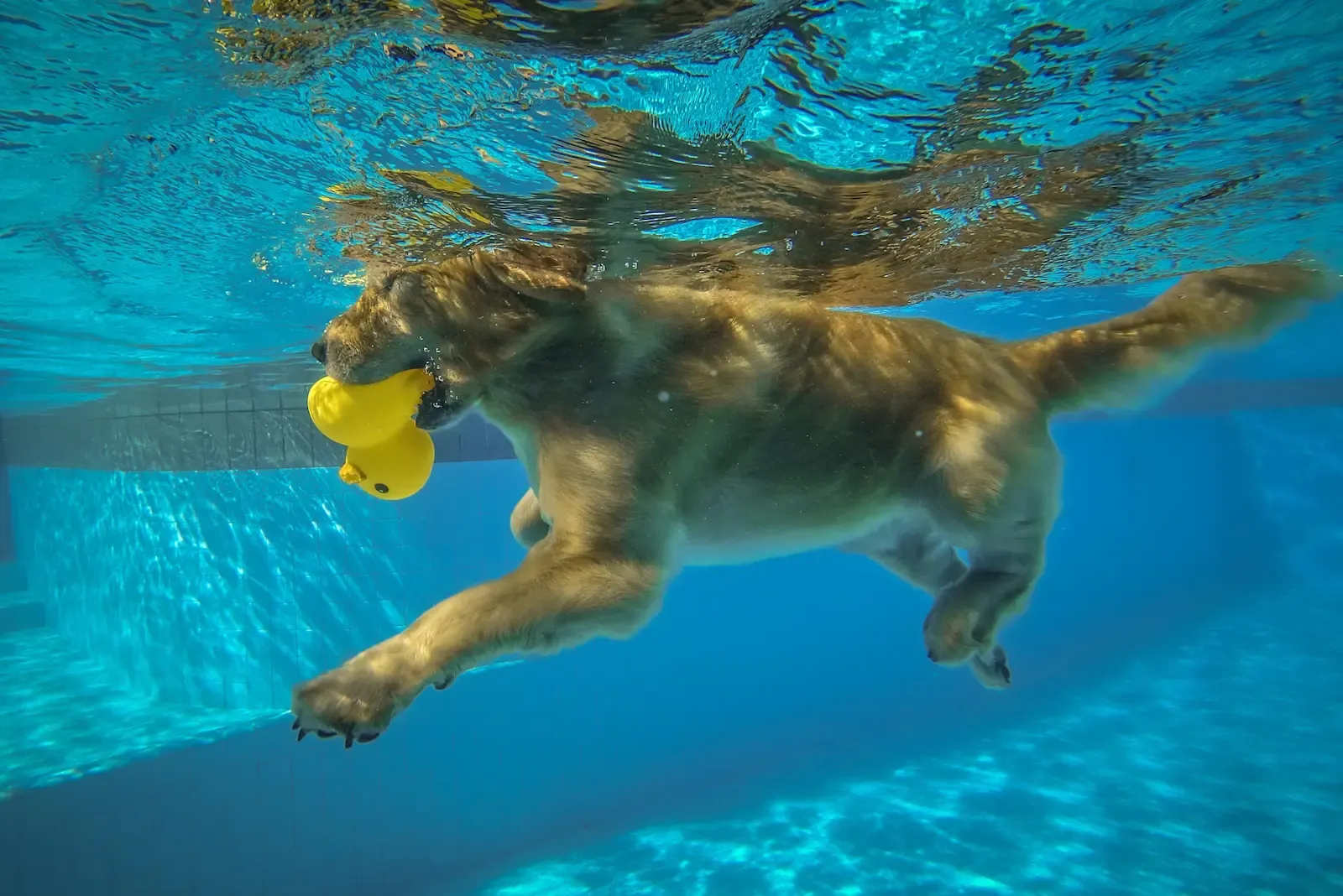Games for water love