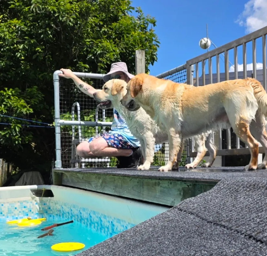 Web design dashboard interface