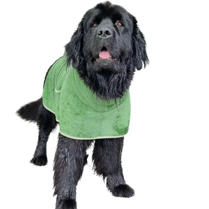Natural ingredients for pet supplements