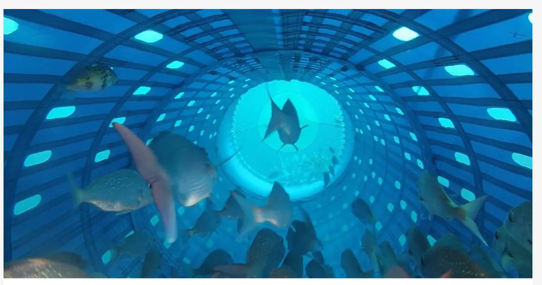 Web design dashboard interface