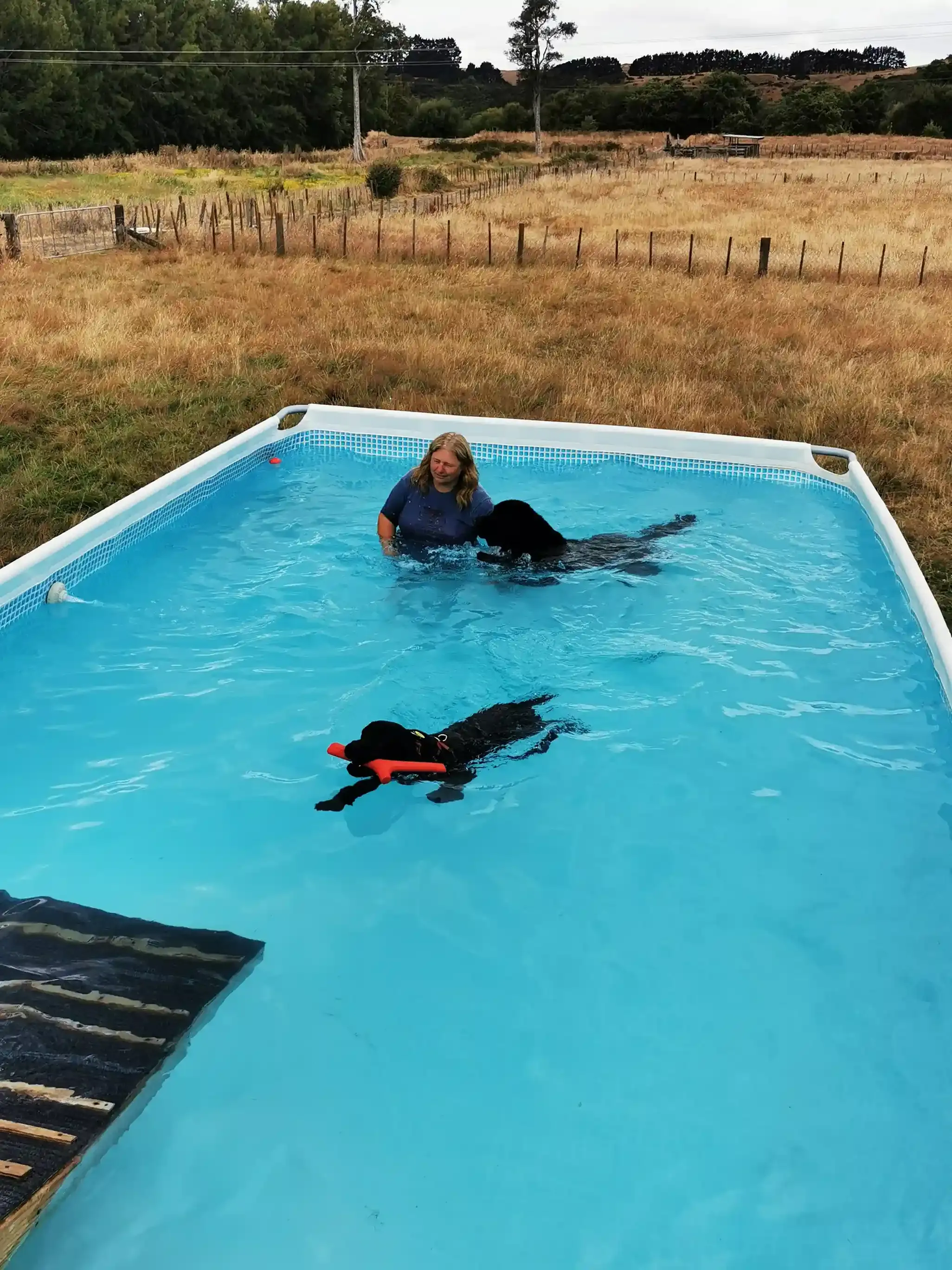 Fiona guiding a dog into the pool using the ramp entry method with a front-clip lead